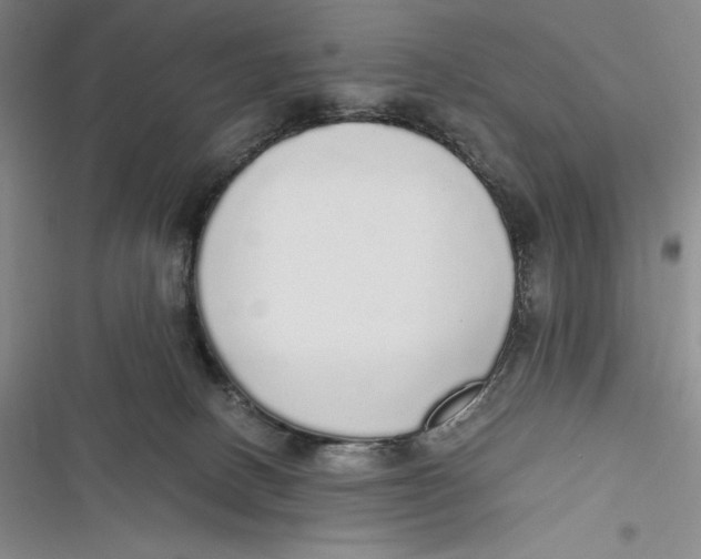 X0000116860082201001121249