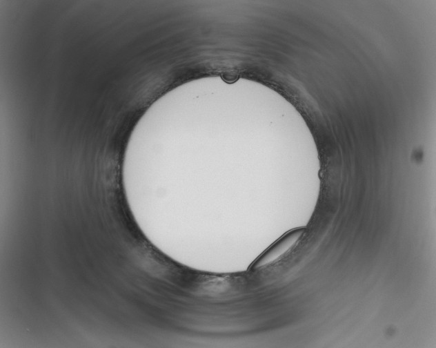 X0000116860083201001121249