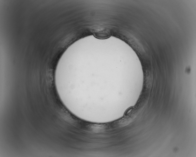 X0000116860085201001121250