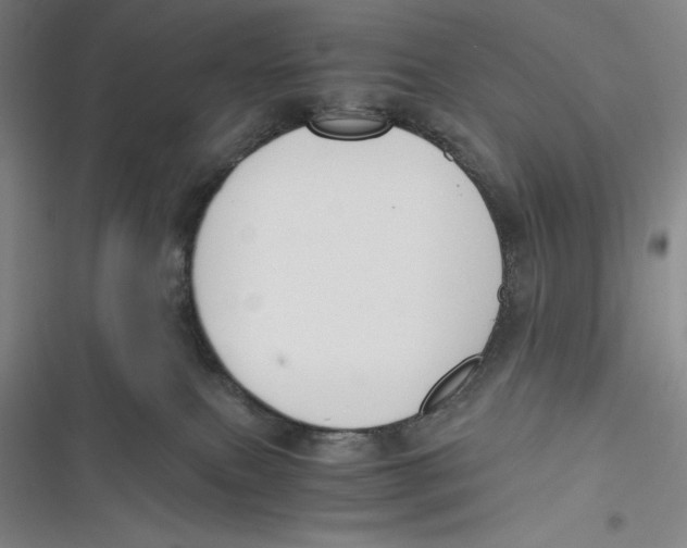 X0000116860087201001121250