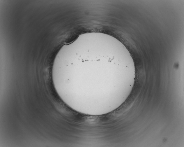 X0000116860088201001121250