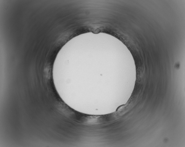 X0000116860090201001121250