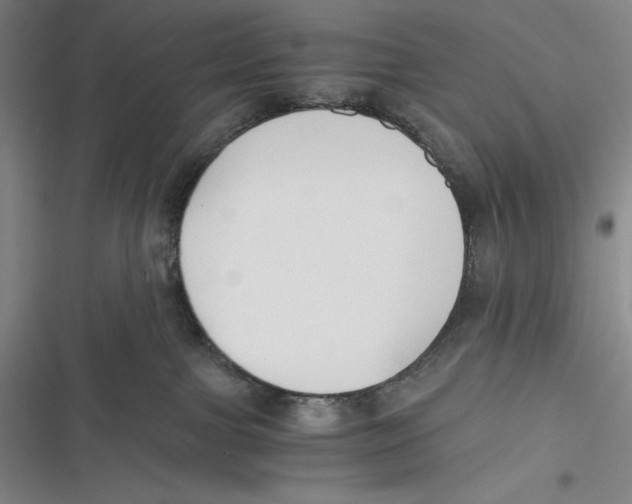 X0000116860091201001121250