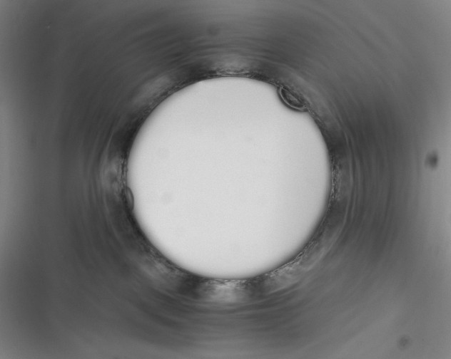 X0000116860093201001121250