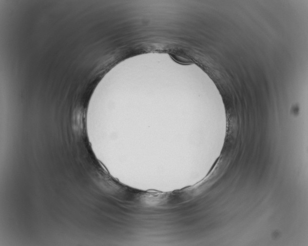 X0000116860094201001121250