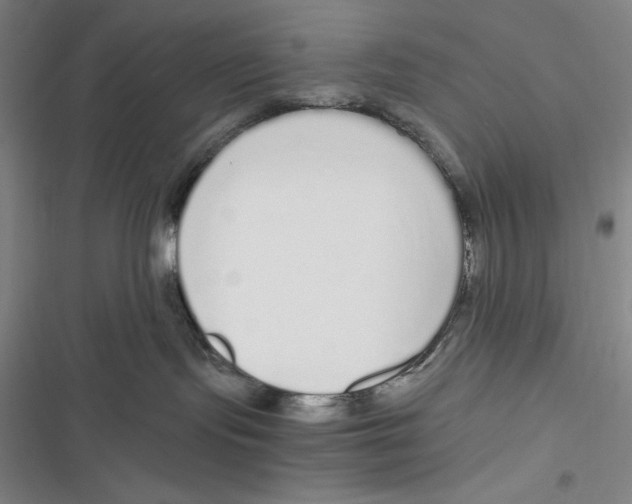 X0000116860095201001121250