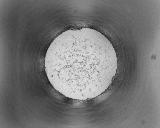 X0000116860096201001121250