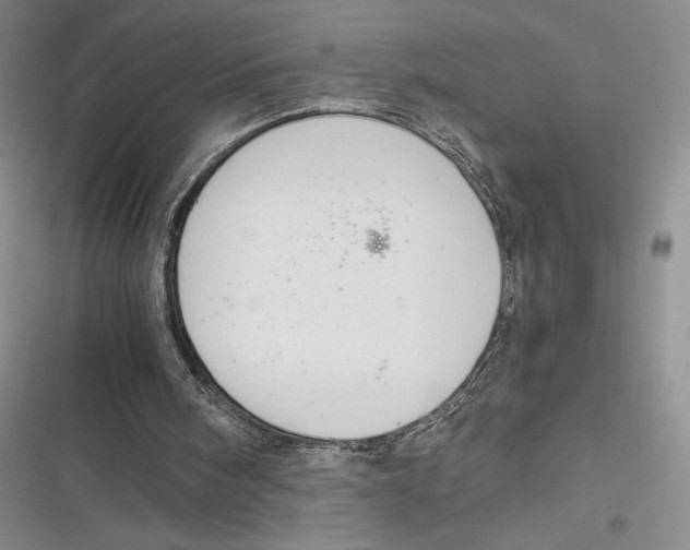 X0000116860098201001121249