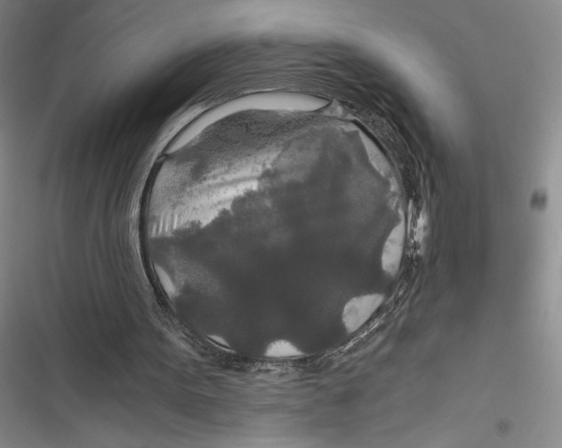 X0000116860099201001121249