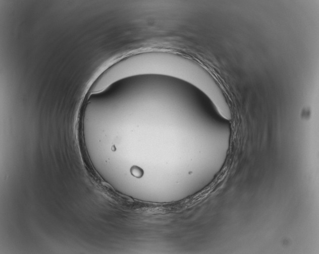 X0000116860100201001121249