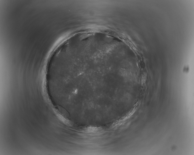 X0000116860101201001121249