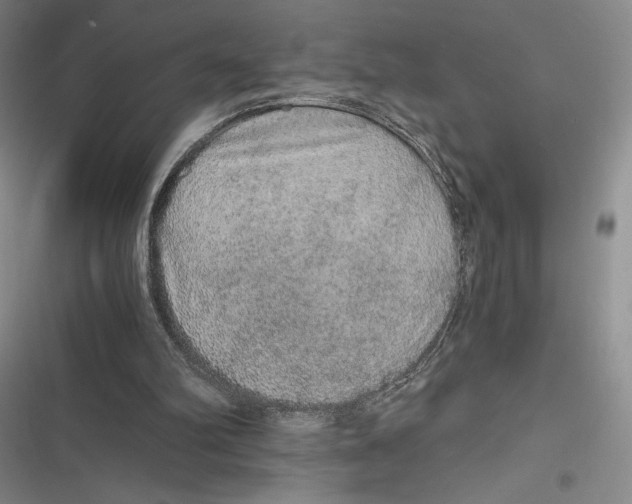 X0000116860102201001121249