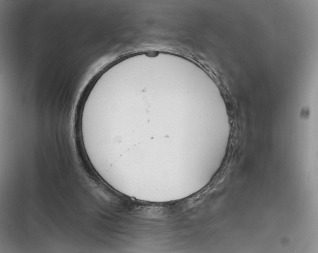 X0000116860104201001121249