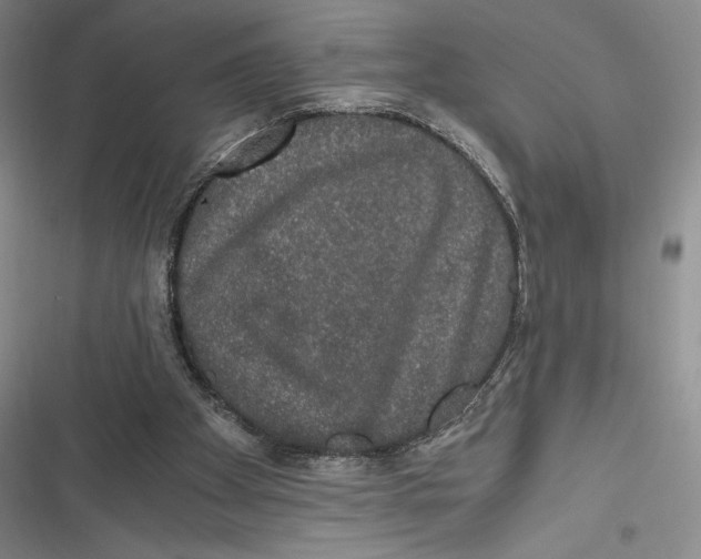 X0000116860105201001121249