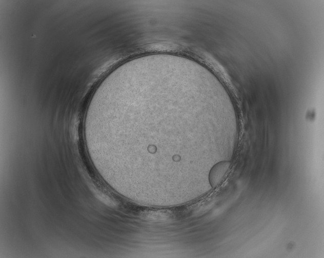 X0000116860106201001121249