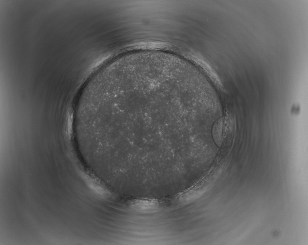 X0000116860110201001121249