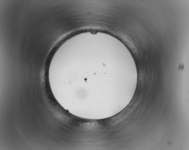 X0000116860112201001121249