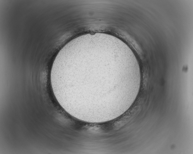 X0000116860113201001121249