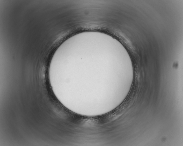 X0000116860115201001121249