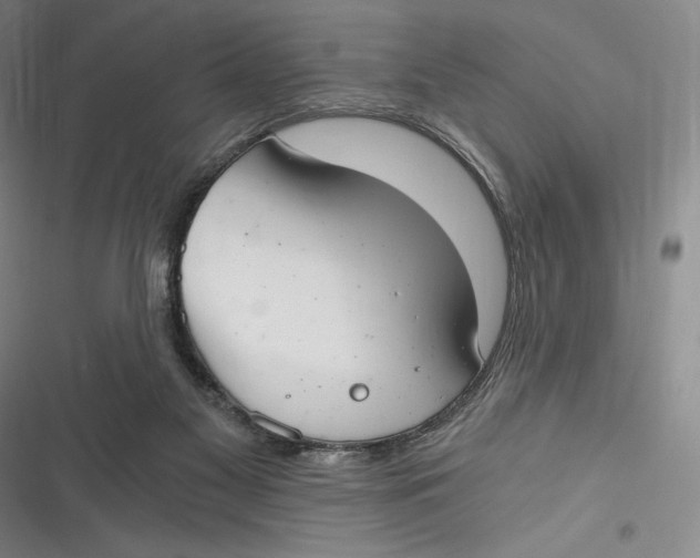 X0000116860117201001121249