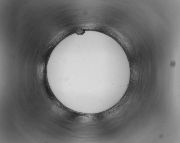 X0000116860118201001121249