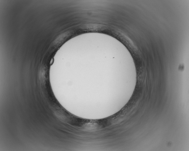 X0000116860119201001121249