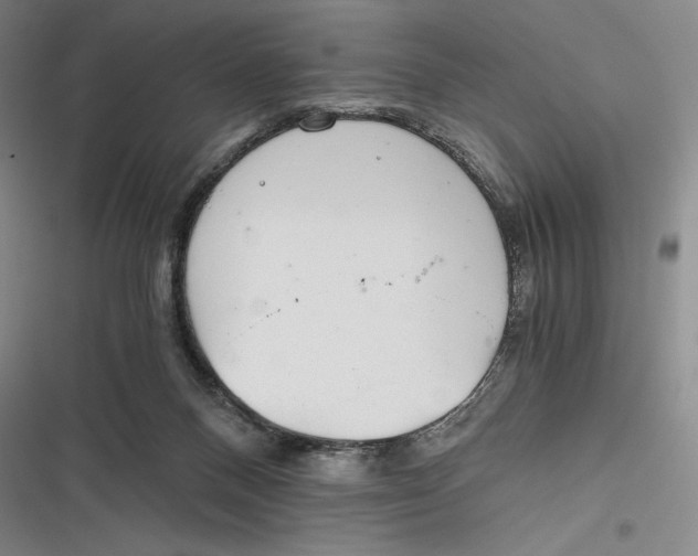 X0000116860120201001121249