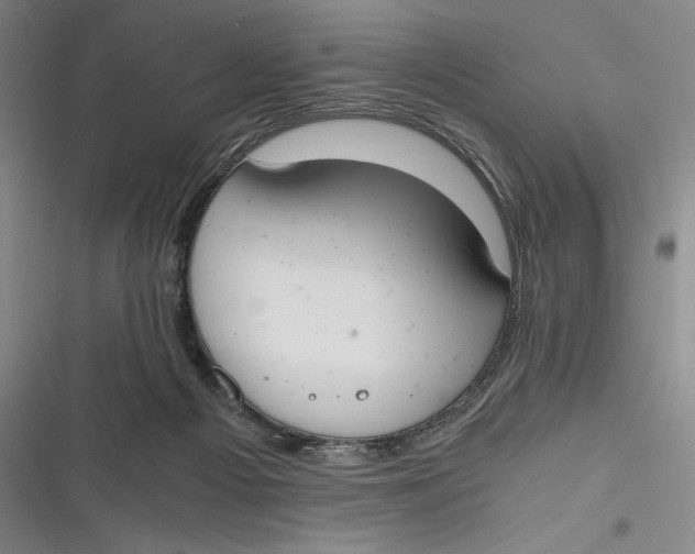 X0000116860121201001121249