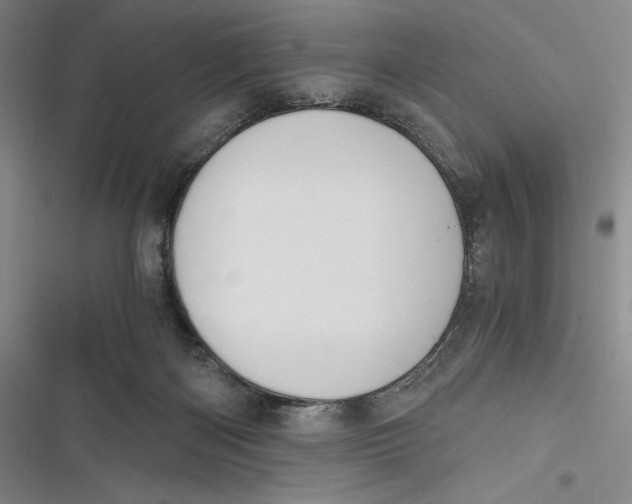 X0000116860122201001121249