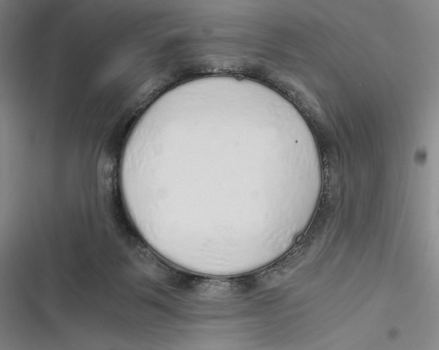 X0000116860123201001121249