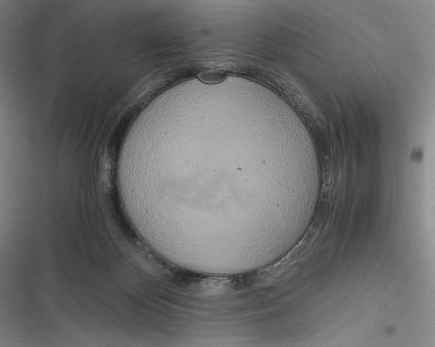 X0000116860124201001121249