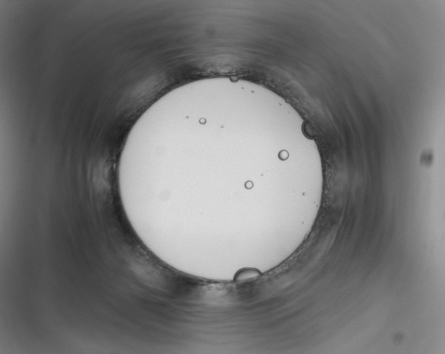 X0000116860126201001121249