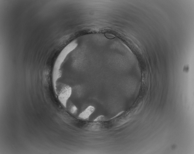 X0000116860127201001121249