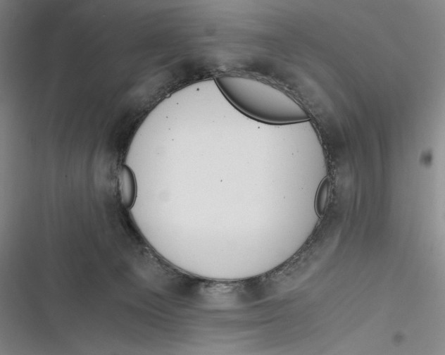 X0000116860129201001121249