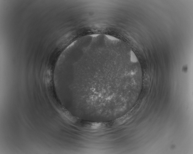 X0000116860130201001121249