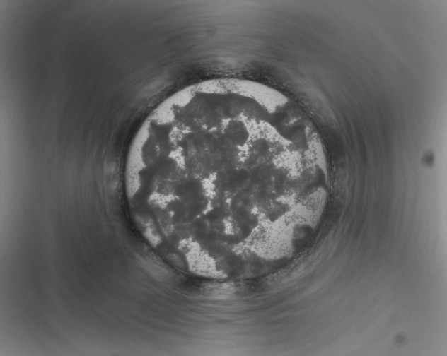 X0000116860131201001121249