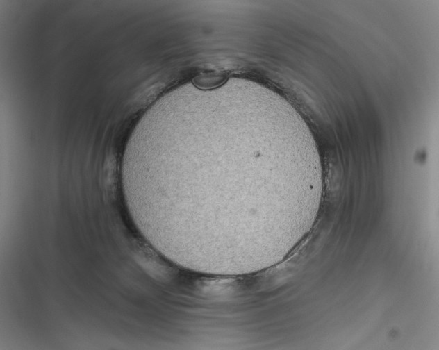 X0000116860132201001121249