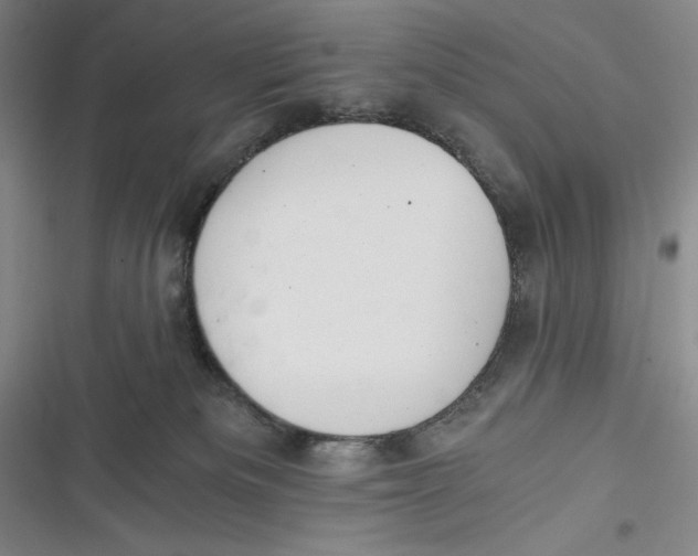 X0000116860133201001121249