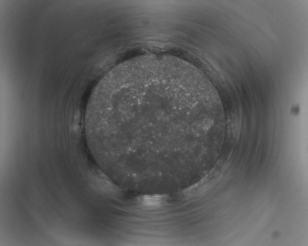 X0000116860134201001121249