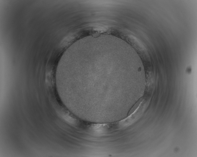 X0000116860136201001121248