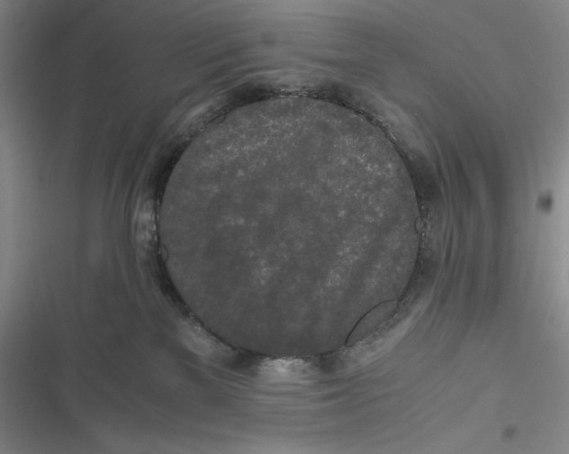 X0000116860137201001121248