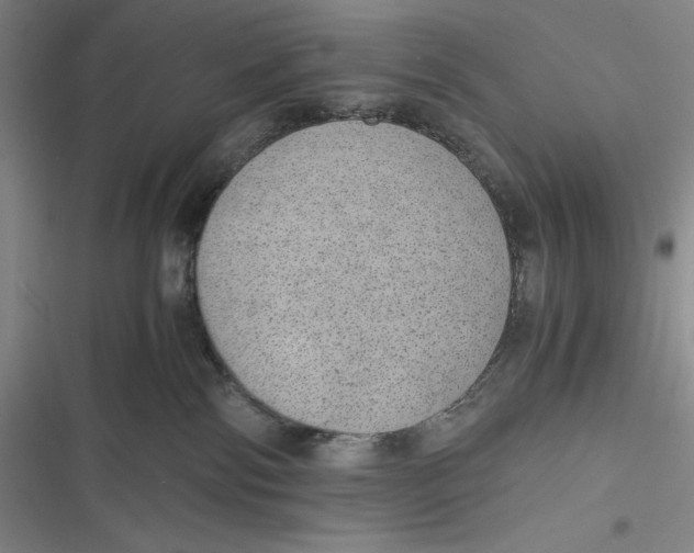 X0000116860138201001121248