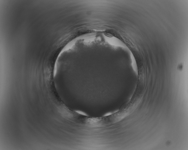 X0000116860139201001121248