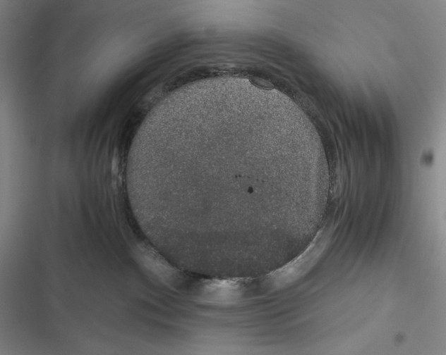 X0000116860140201001121248