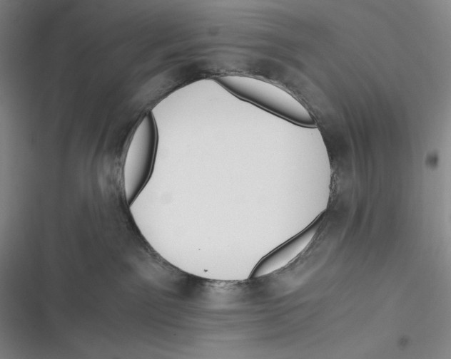 X0000116860141201001121248