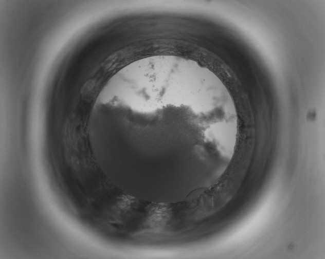 X0000116860143201001121248