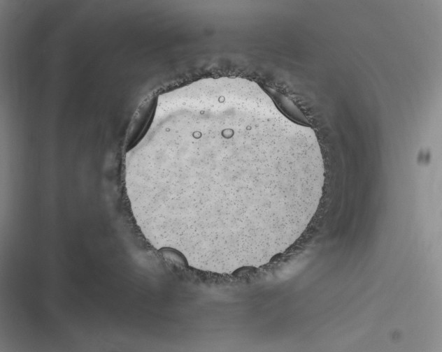 X0000116860144201001121248