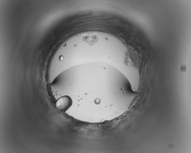 X0000116860146201001121248