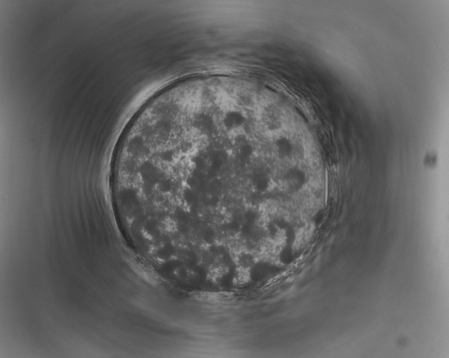 X0000116860147201001121248