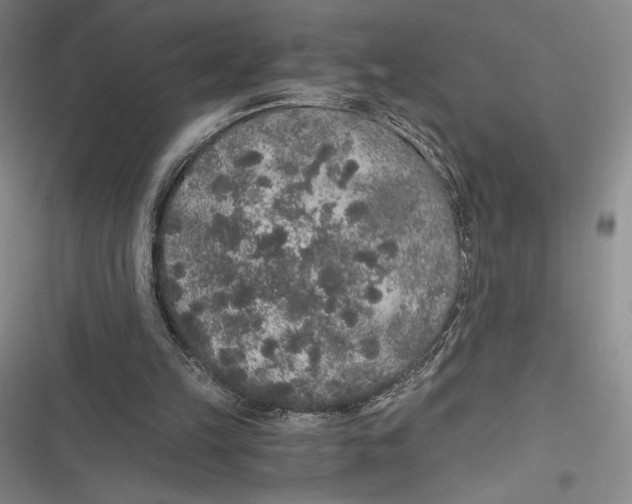 X0000116860149201001121248